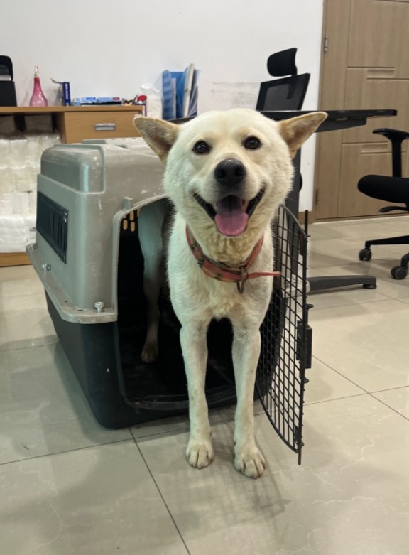 반려동물보호센터_443571202301835