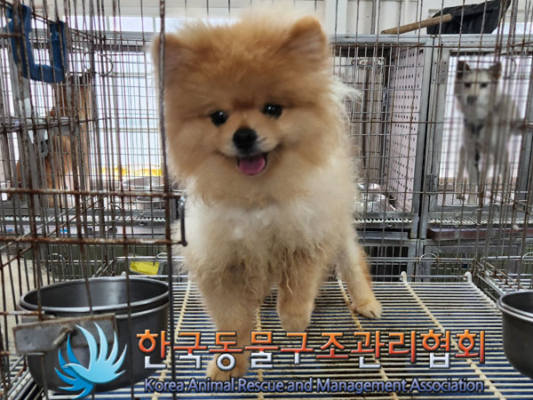 한국동물구조관리협회_441406202300975