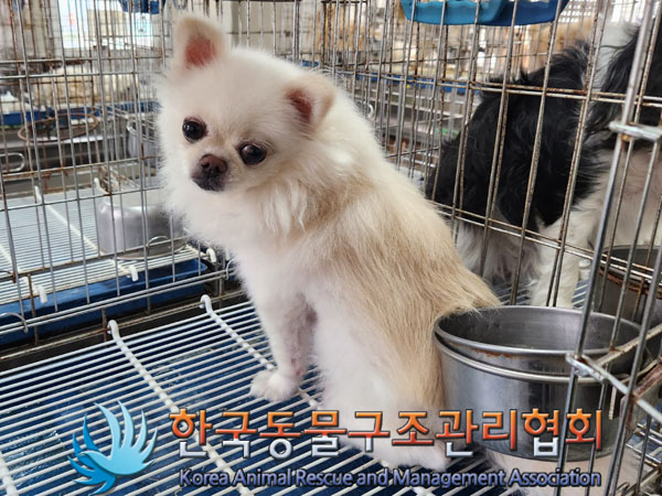 한국동물구조관리협회_411315202300452
