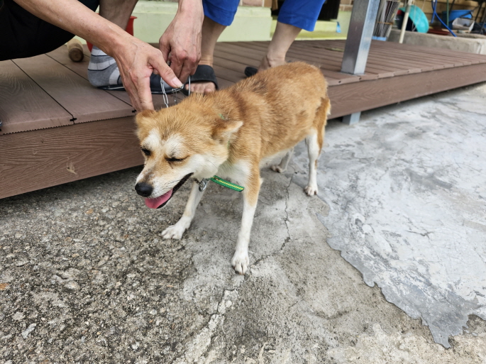 청원동물병원_445470202300556