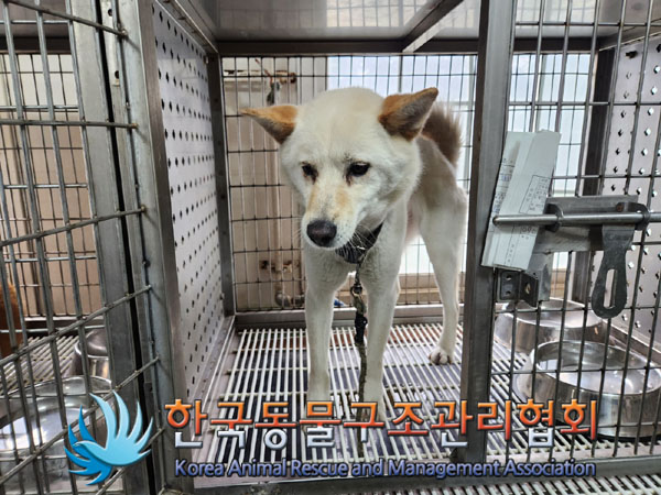 한국동물구조관리협회_411300202300287