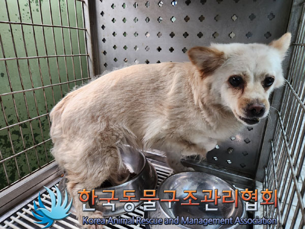 한국동물구조관리협회_441414202300425