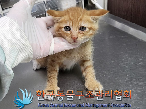 한국동물구조관리협회_441414202300426