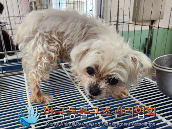 한국동물구조관리협회_441406202300984