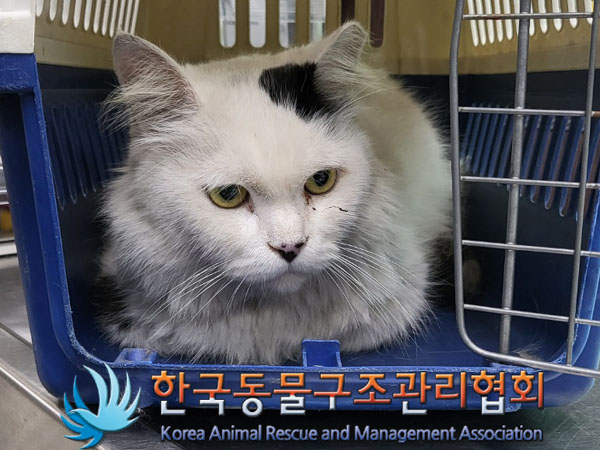 한국동물구조관리협회_411316202300508