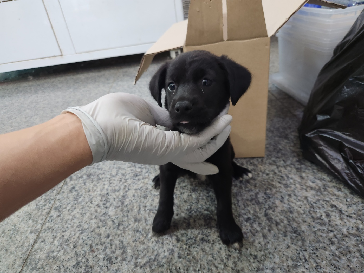 광주 동물보호소_429362202300566