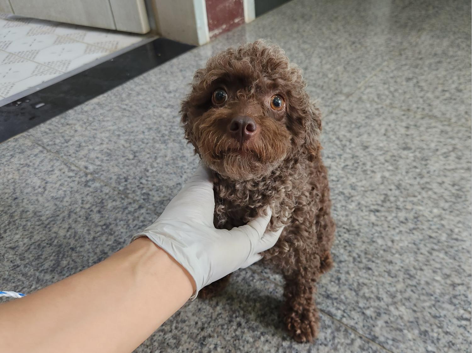 광주 동물보호소_429361202300286