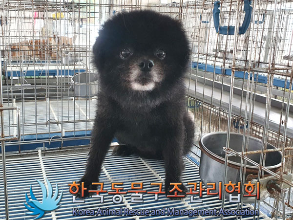 한국동물구조관리협회_411318202300303
