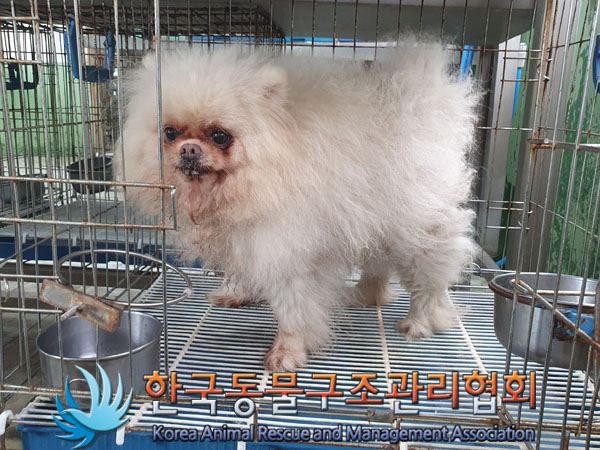 한국동물구조관리협회_441409202301084