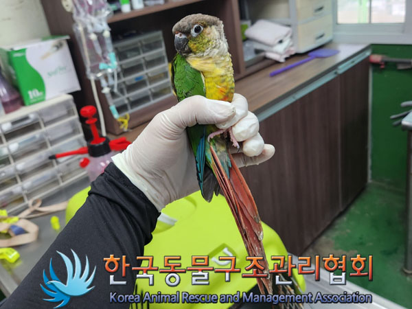 한국동물구조관리협회_411311202300581