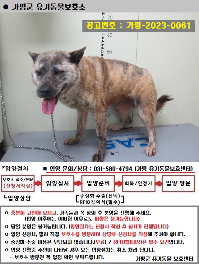 가평군유기동물보호소_441416202300285