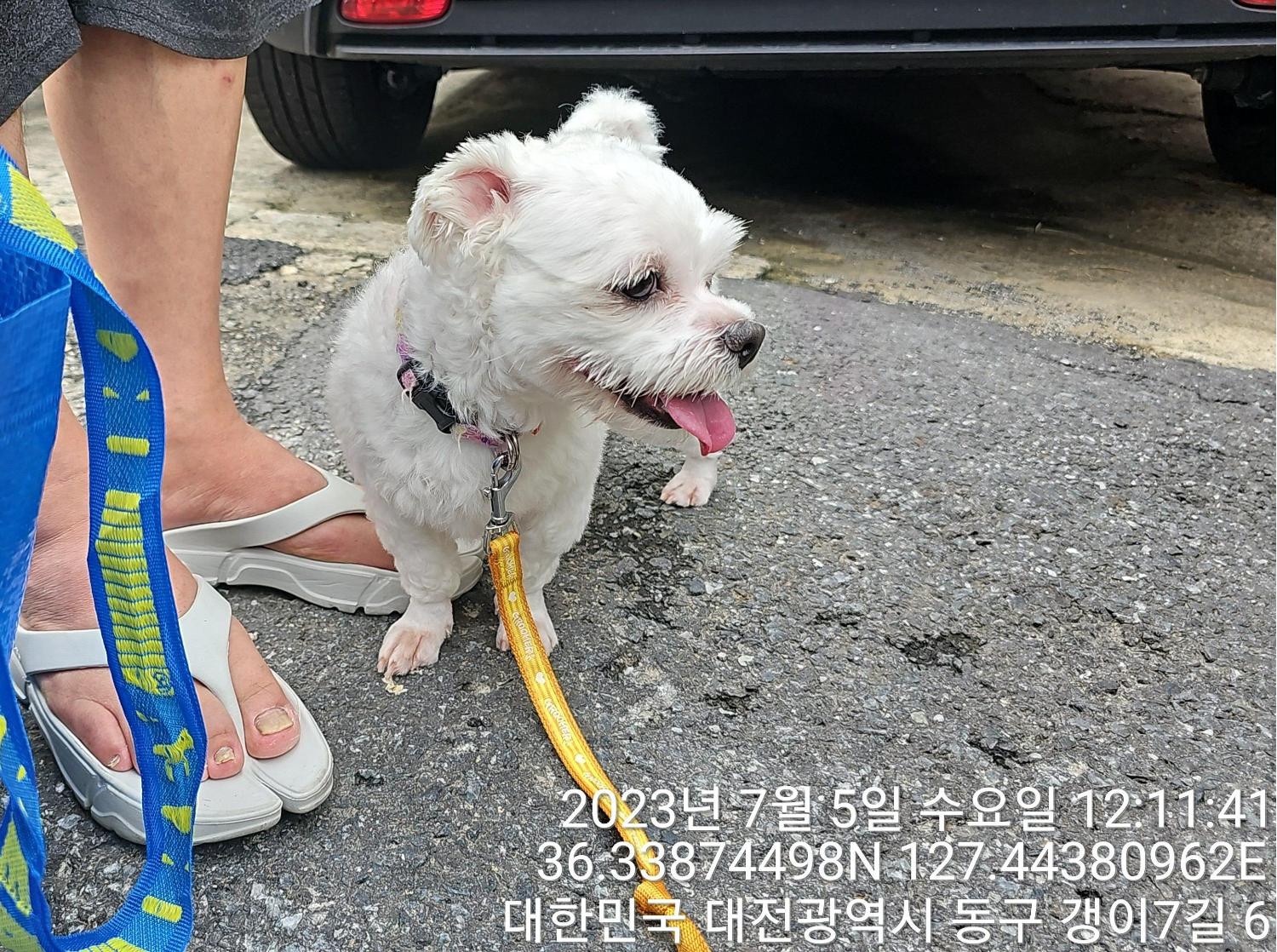 대전동물보호센터_430364202300214
