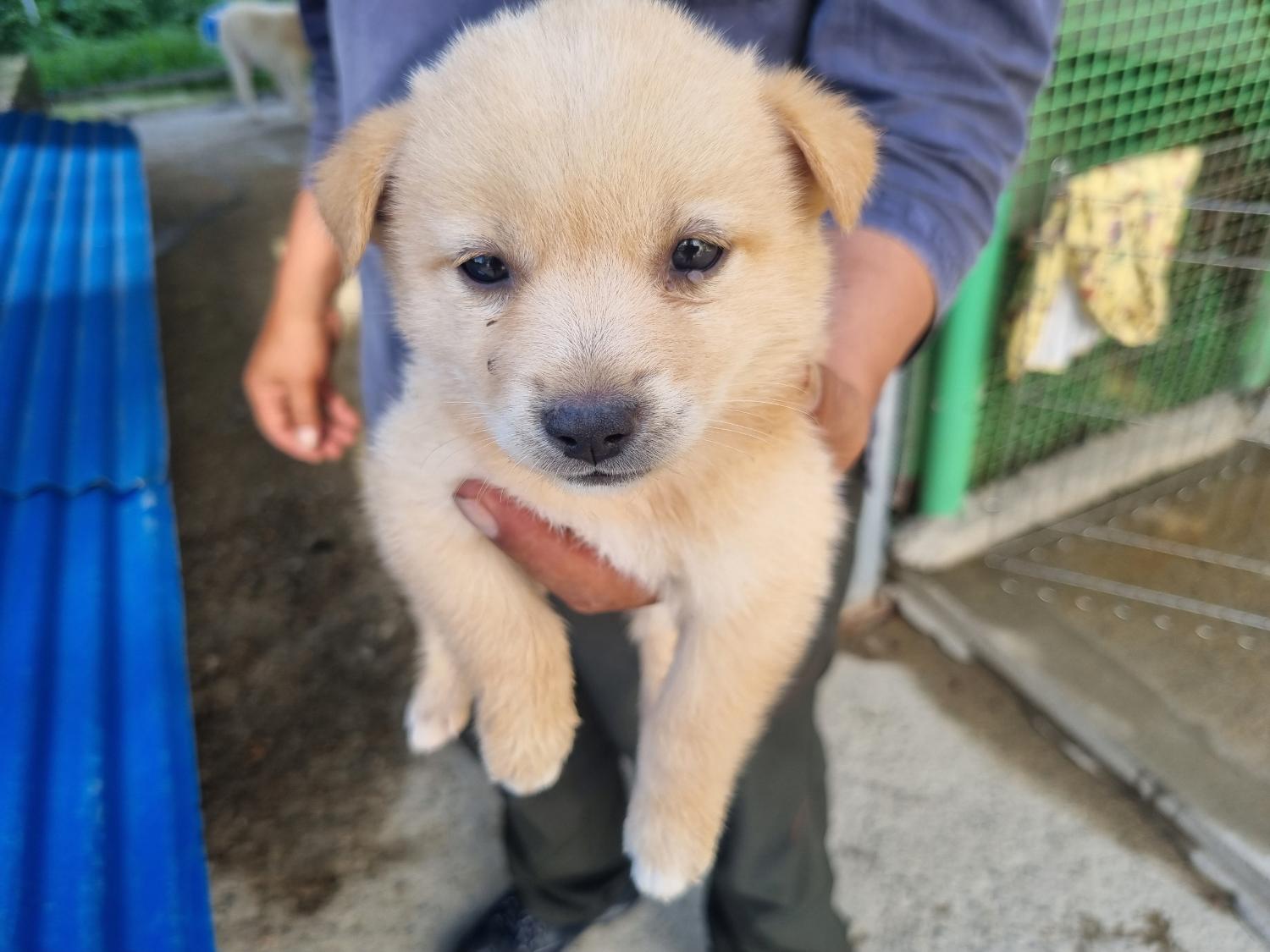 양산시 동물보호센터_448538202300397