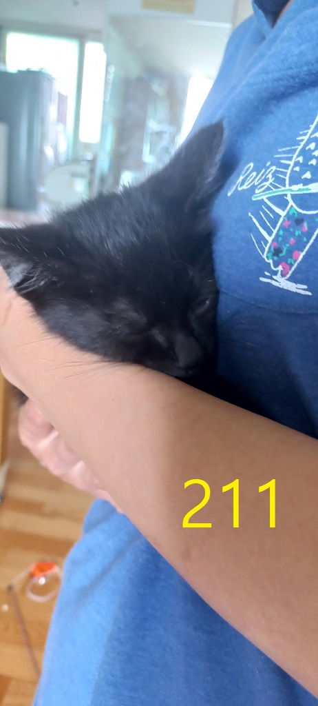 신영재동물병원_428355202300368