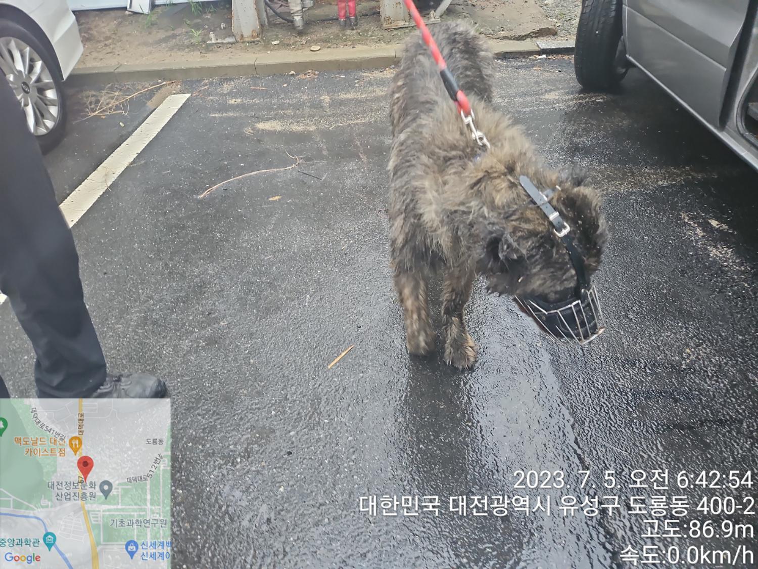 대전동물보호센터_430367202300403