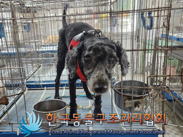 한국동물구조관리협회_411315202300455