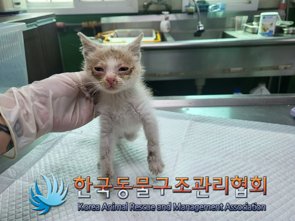 한국동물구조관리협회_441559202300612
