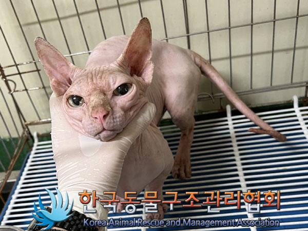 한국동물구조관리협회_441560202300872