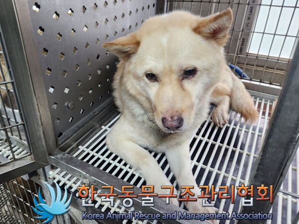 한국동물구조관리협회_411310202300293