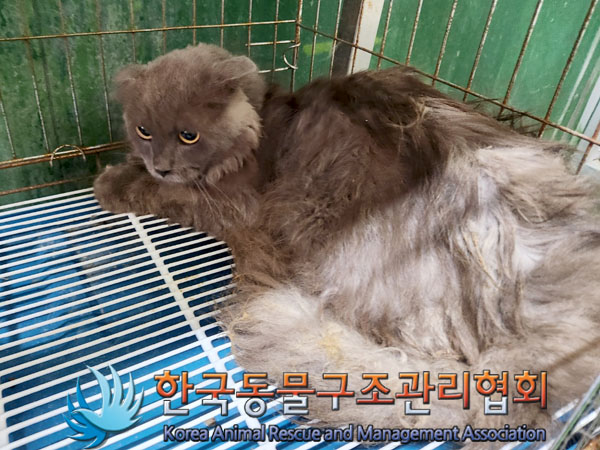 한국동물구조관리협회_441560202300873