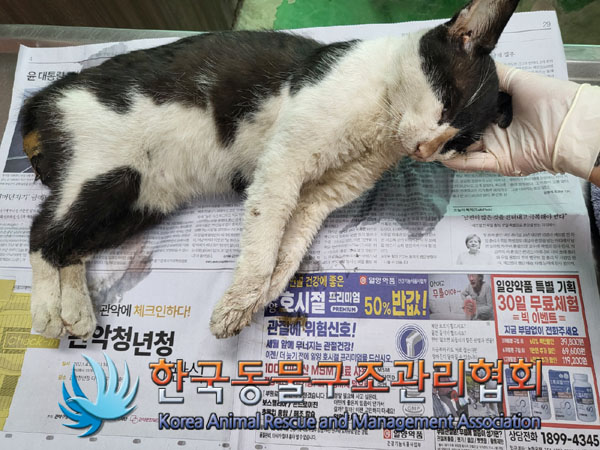한국동물구조관리협회_411316202300509