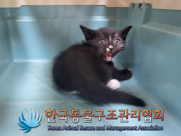 한국동물구조관리협회_411304202300445