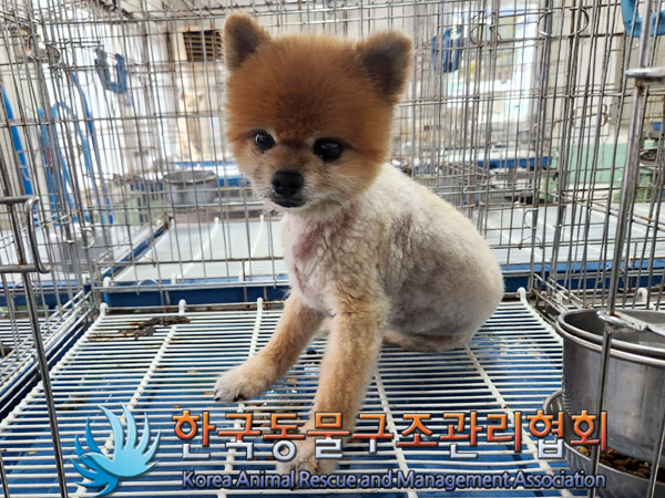 한국동물구조관리협회_411318202300304