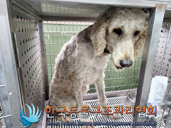 한국동물구조관리협회_441414202300443