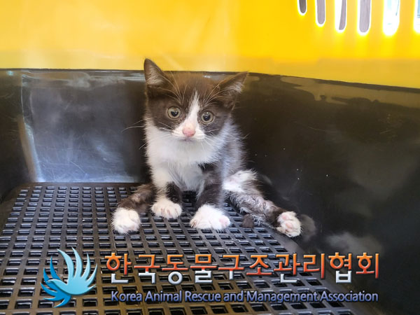 종료(자연사) 한국…