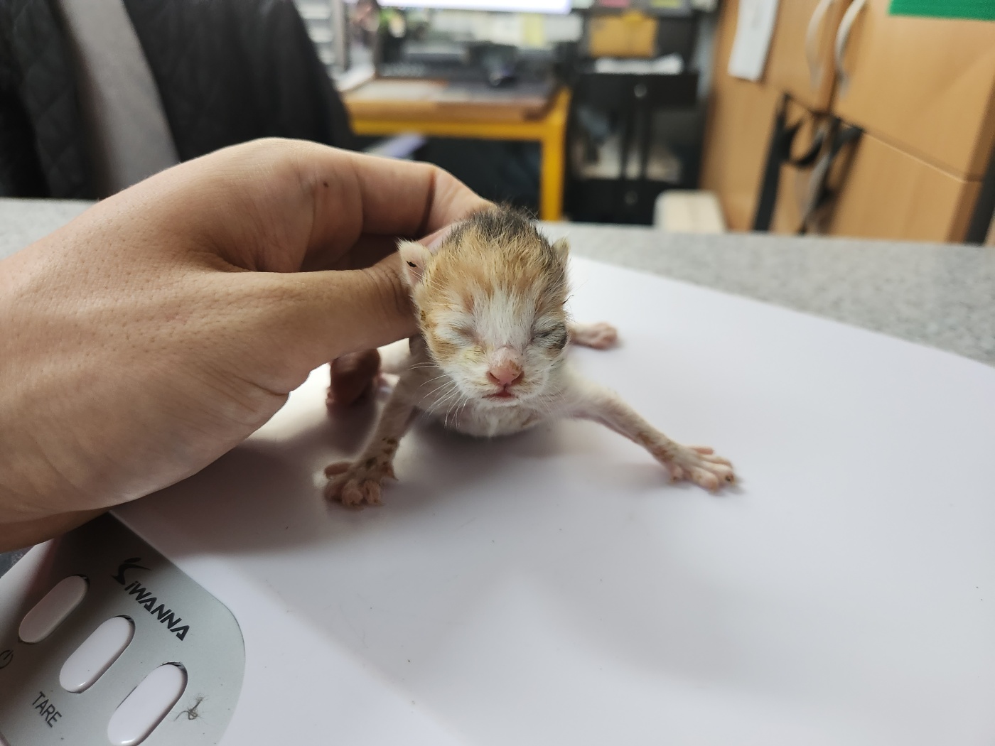 광주 동물보호소_429360202300590