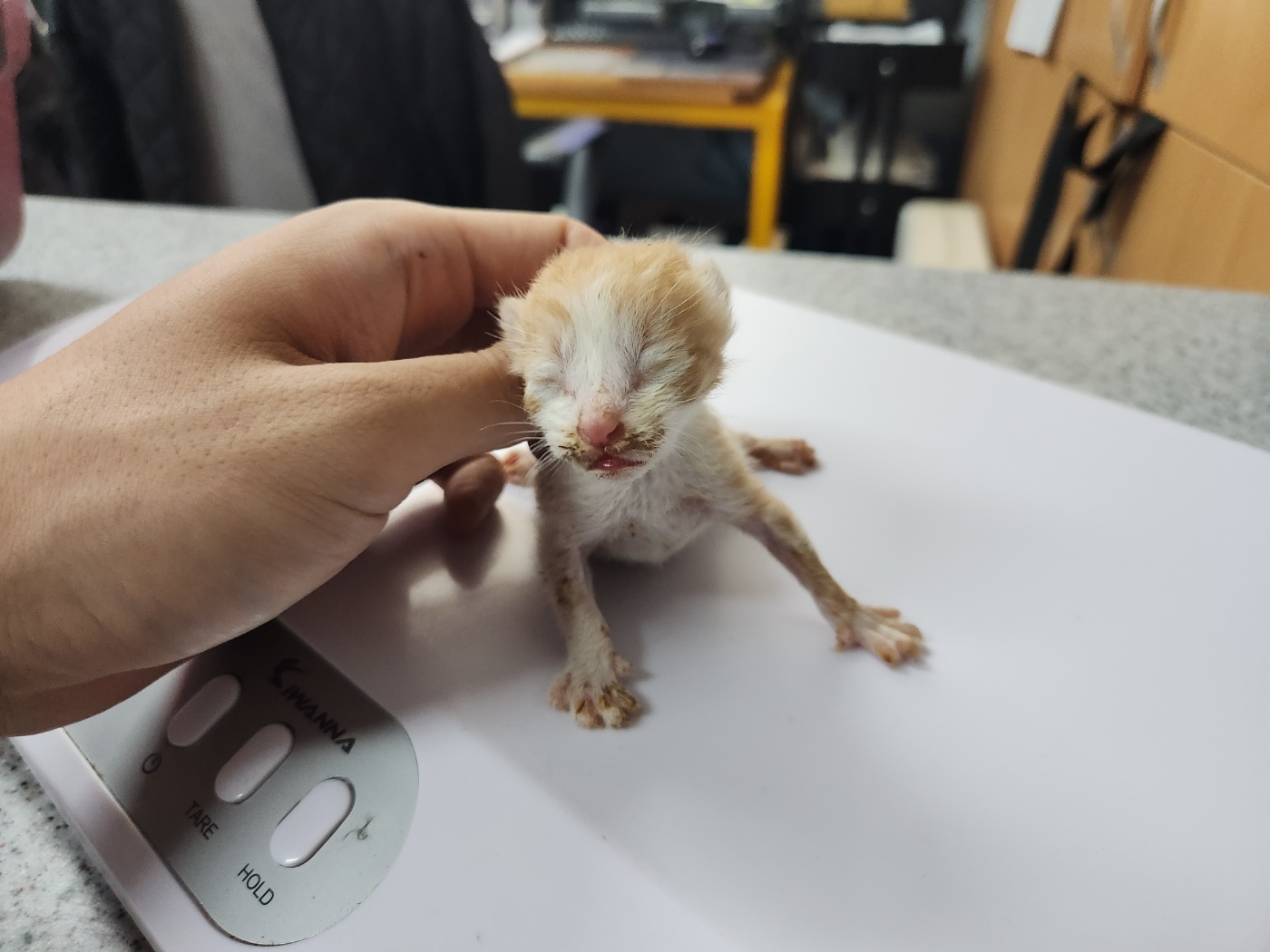 광주 동물보호소_429360202300587