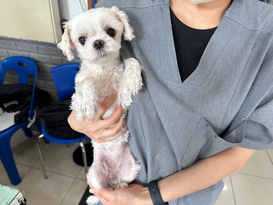 가정동물병원_428356202301091
