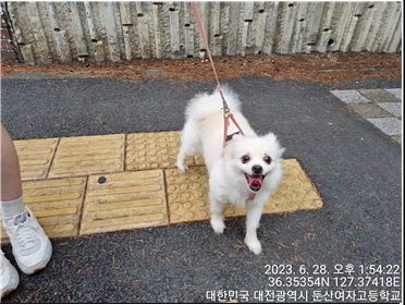 대전동물보호센터_430366202300400