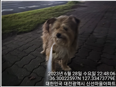 대전동물보호센터_430366202300401