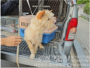 대전동물보호센터_430366202300416