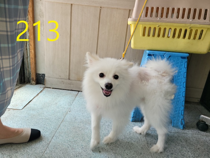 신영재동물병원_428355202300370