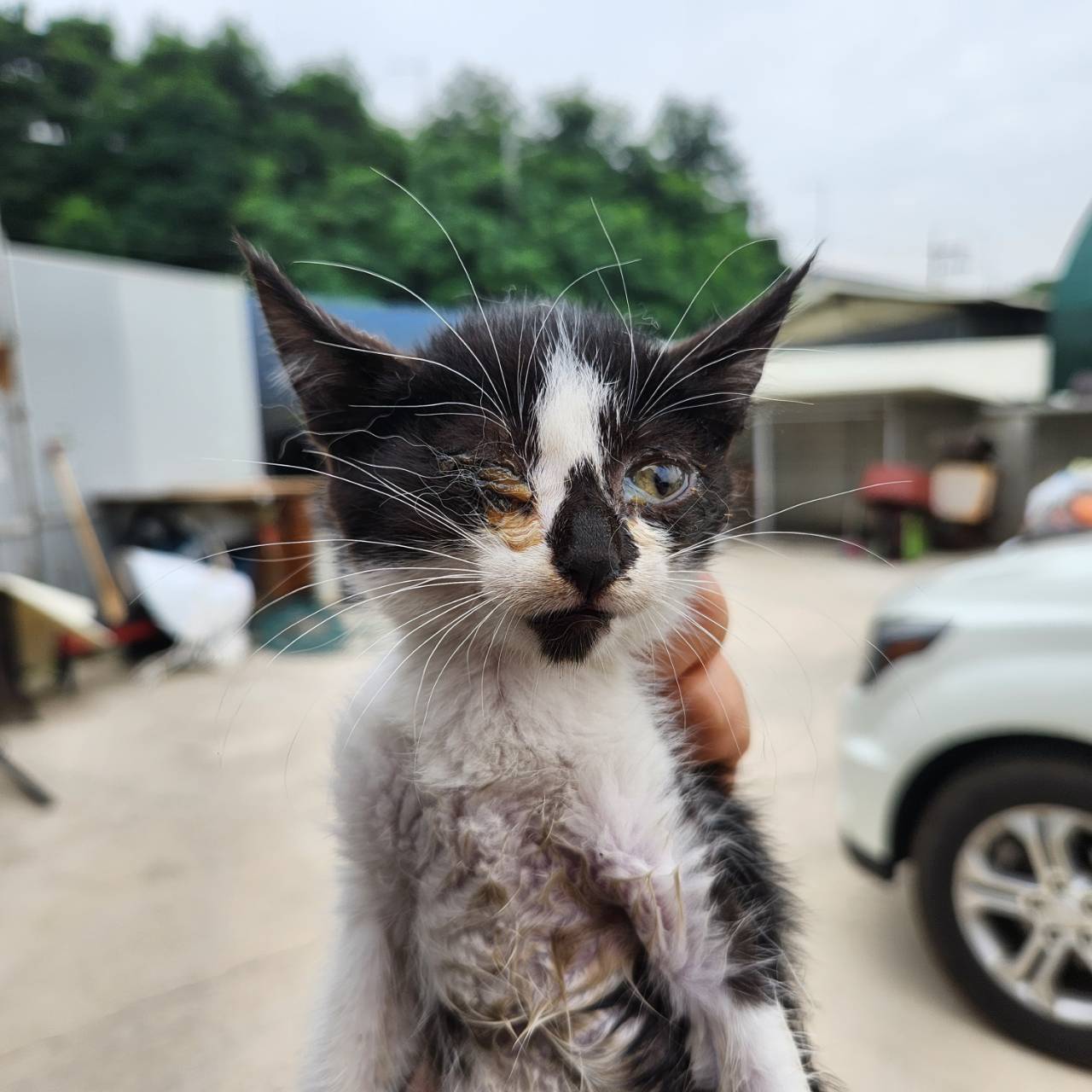 한국야생동물보호협회_441390202300289