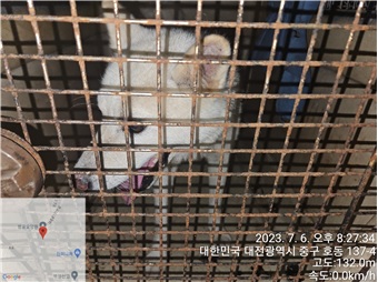 대전동물보호센터_430365202300315