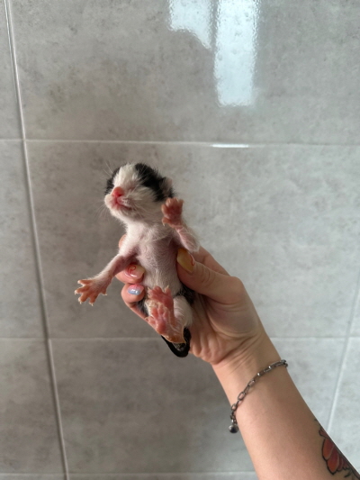 누리동물병원_426338202300241