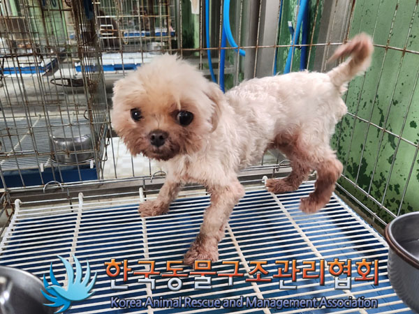 한국동물구조관리협회_441559202300647
