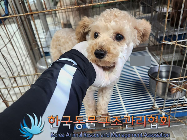 한국동물구조관리협회_411311202300583