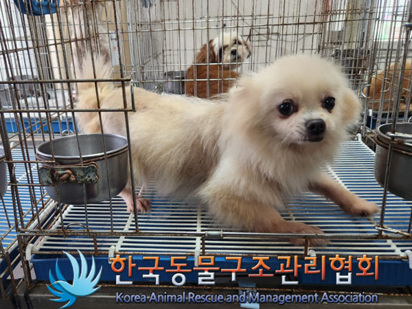 한국동물구조관리협회_441559202300644