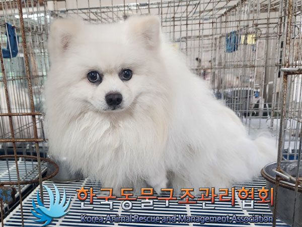 한국동물구조관리협회_411311202300582