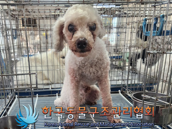 한국동물구조관리협회_411309202300273