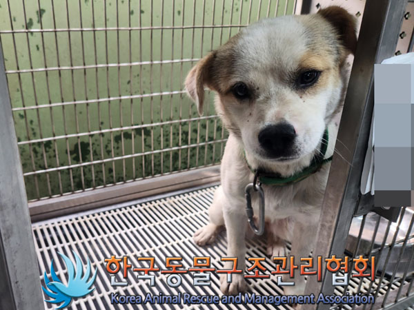 한국동물구조관리협회_441414202300445
