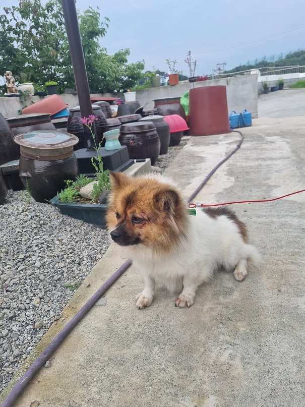금일동물보호센터_444460202300623