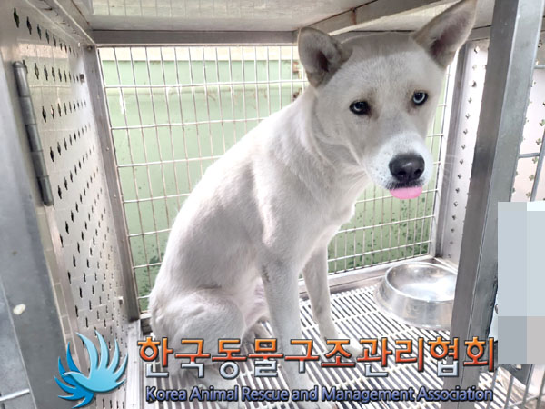 한국동물구조관리협회_411316202300510