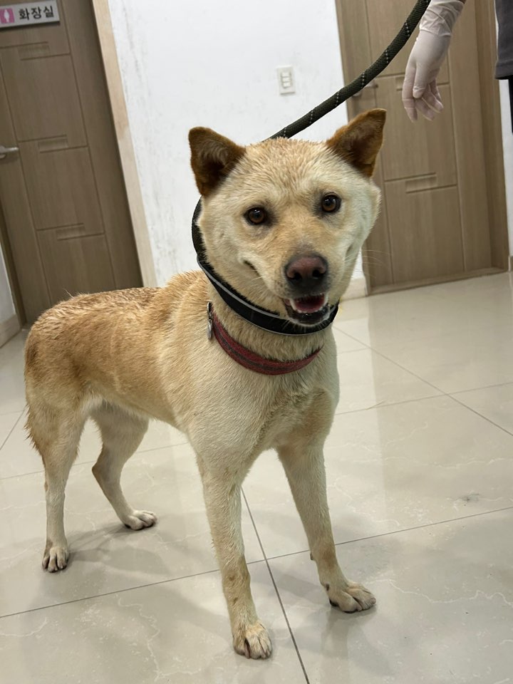 반려동물보호센터_443571202301848