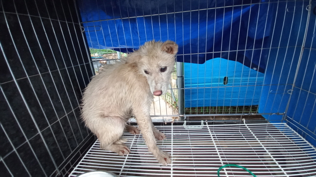 진주시동물보호센터_448531202301316