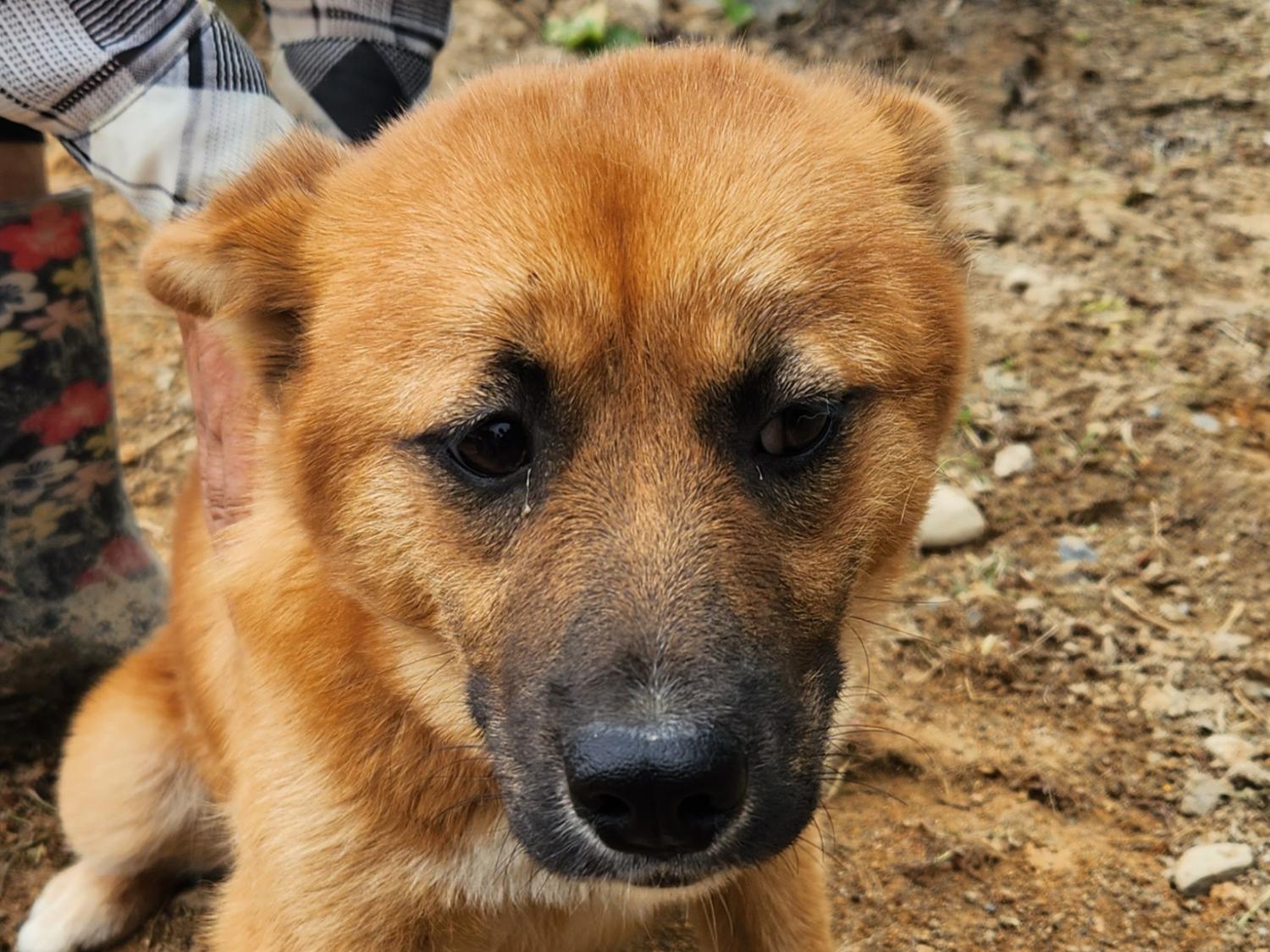 상주시 동물보호센터_447511202300660